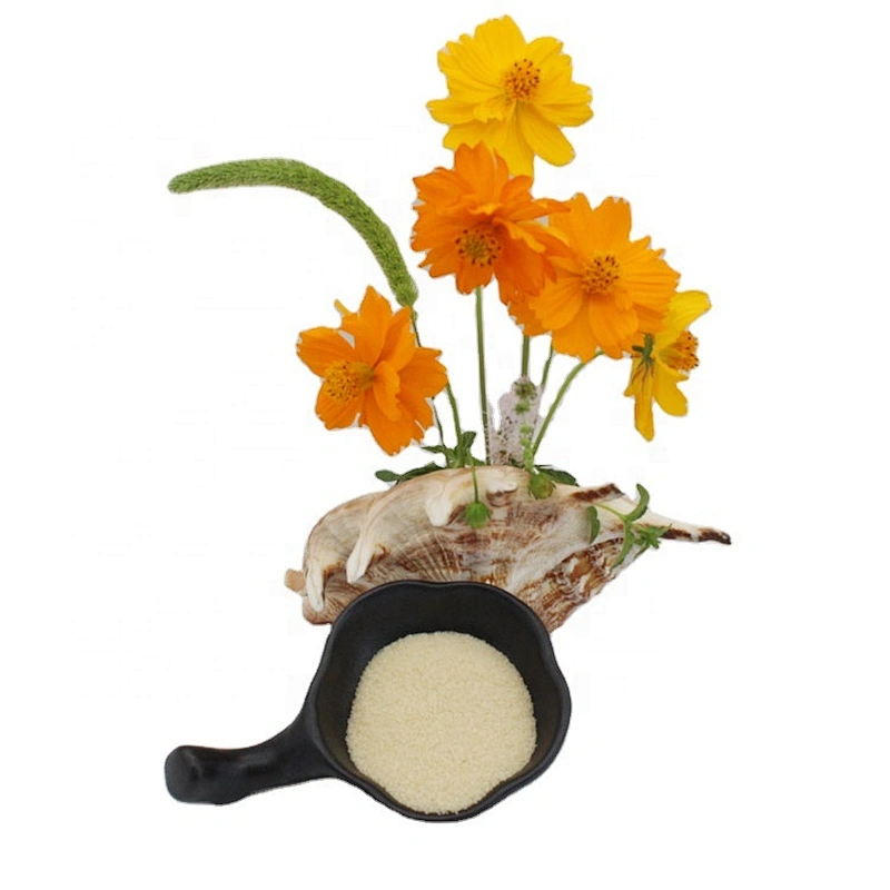Food Grade Bovine Gelatin Beef Skin Edible Gelatin for Food Industry 140 Bloom